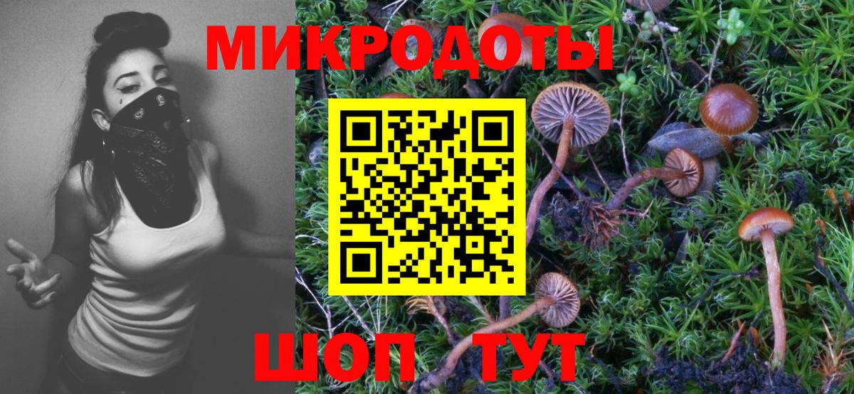 Псилоцибиновые грибы Psilocybine cubensis Златоуст